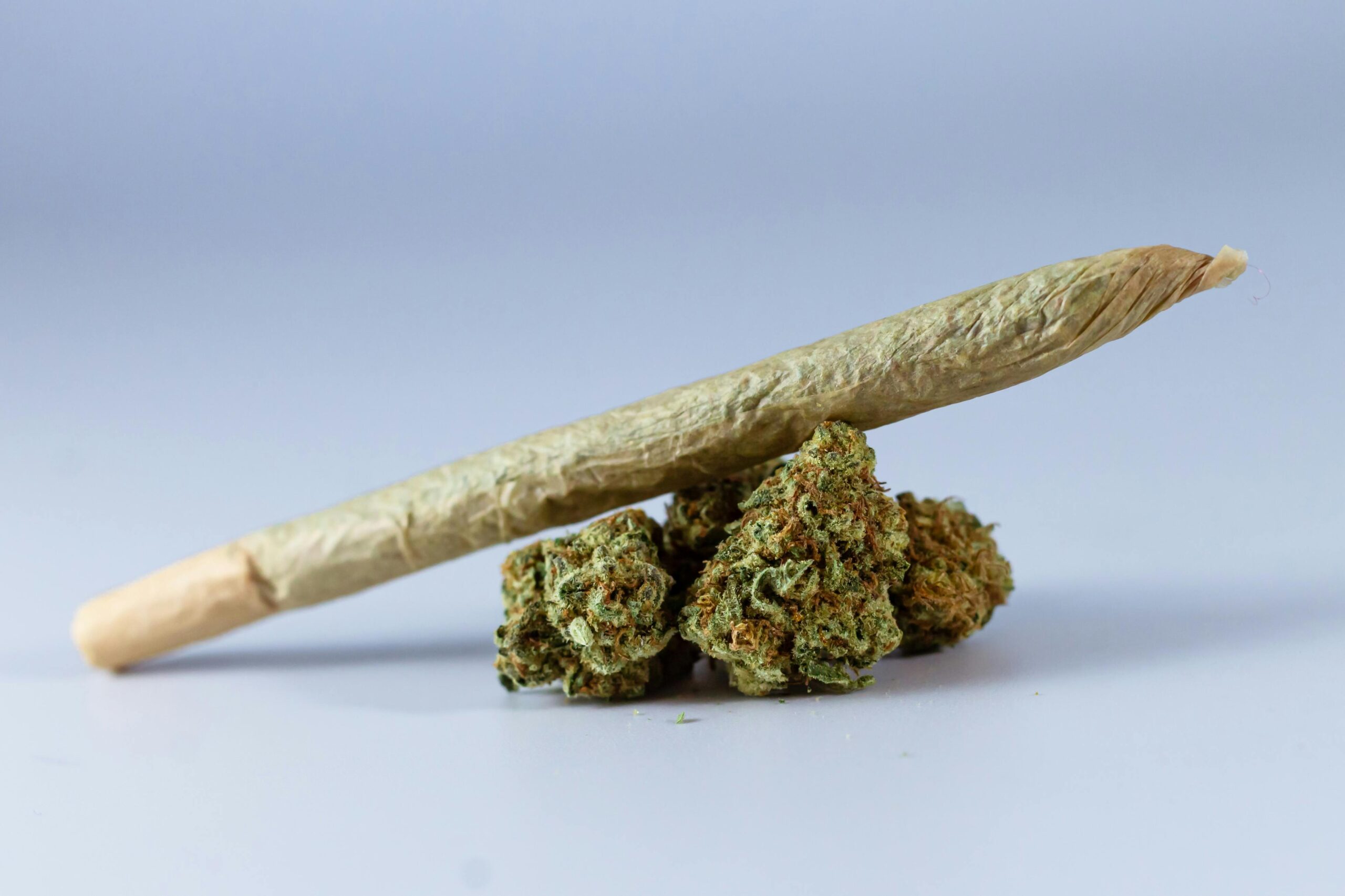 Rotterdam coffeeshops